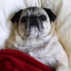 Meet your Posher, Sv